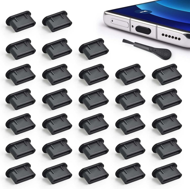 AccEncyc غطاء مضاد للغبار USB C نوع C مع فرشاة تنظيف لحماية منفذ الشحن (30 قطعة) - Image 1
